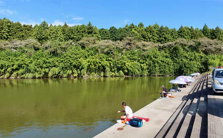 今週のヘラブナ推薦釣り場2025【茨城・粟原の溜池】 | TSURINEWS 今週のヘラブナ推薦釣り場2025【茨城・粟原の溜池】
