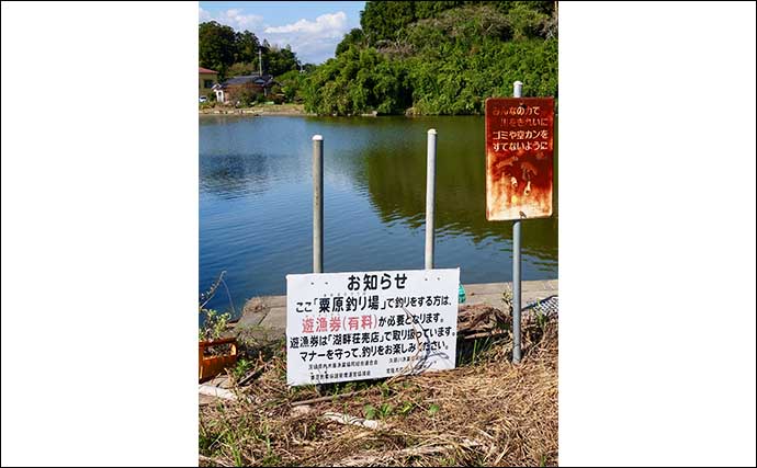 今週のヘラブナ推薦釣り場2025【茨城・粟原の溜池】