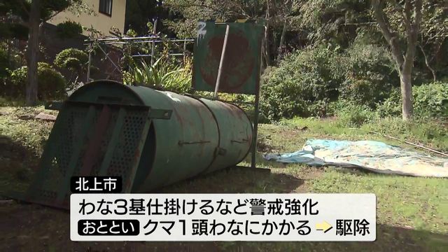 出没相次ぐ北上市 クマ1頭を駆除 花巻市と盛岡市では頭ひっかかれるなどの被害も 岩手県（テレビ岩手ニュース） - Yahoo!ニュース - Yahoo!ニュース