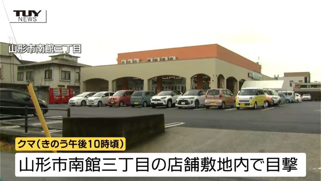 「まさかこんな所に出るとは誰も思わない」山形市内でクマの目撃相次ぐ 店の敷地にも（テレビユー山形） - Yahoo!ニュース - Yahoo!ニュース