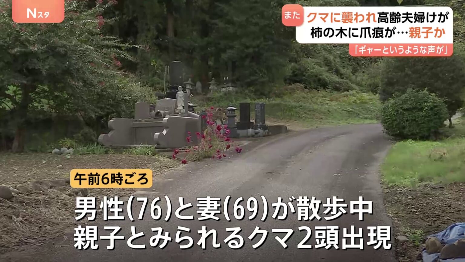群馬・みなかみ町で“親子グマ”に高齢夫婦が襲われる　近隣ではスーパーに侵入など出没相次ぐ「今年は異常」（TBS NEWS DIG Powered by JNN）