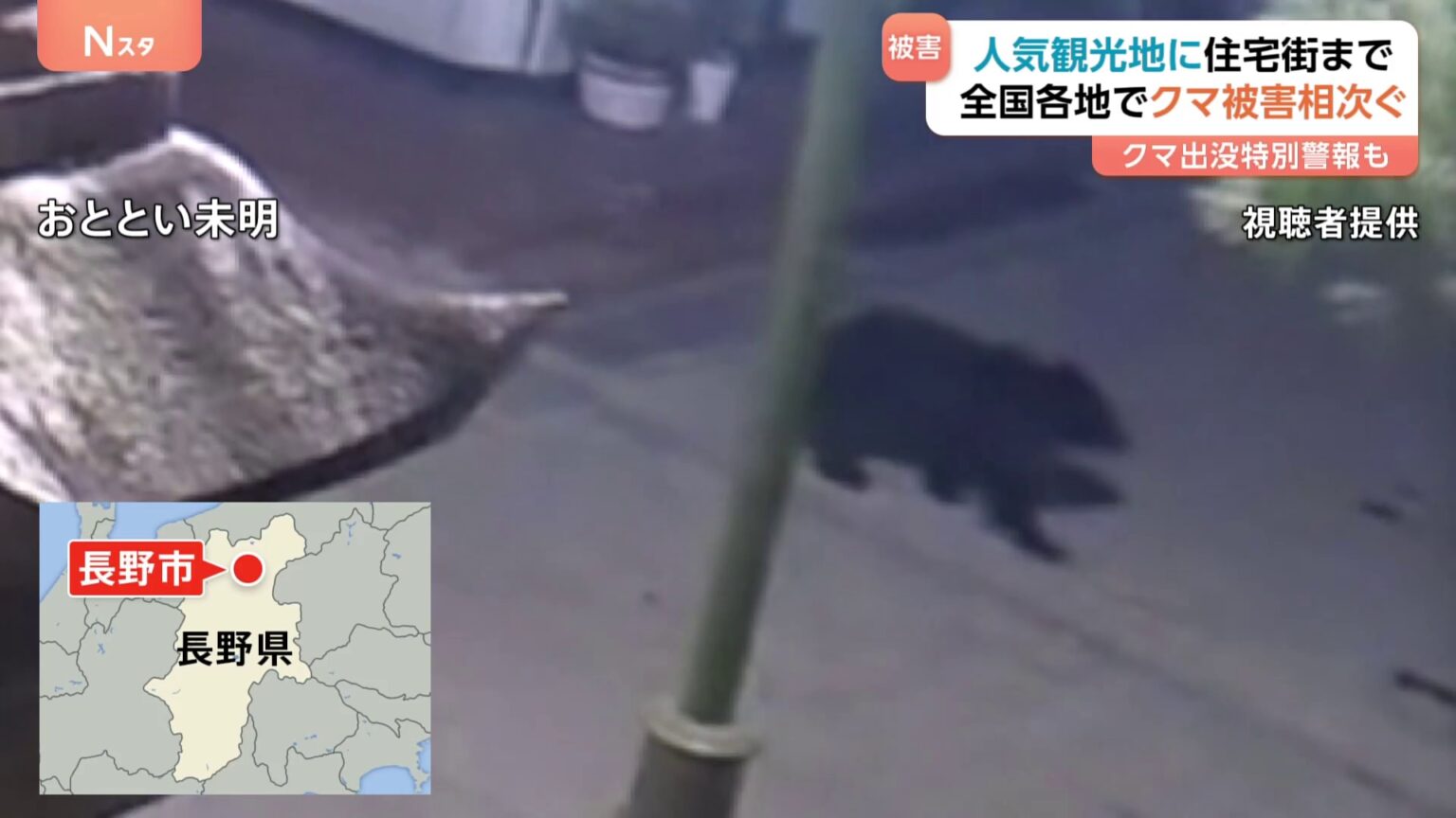 人気観光地や住宅街などでクマの出没相次ぐ　「ここに出るのは考えられない」玄関を開けたら木からクマ…男性が襲われ顔などにけが　新潟では“クマ出没特別警報”（TBS NEWS DIG Powered by JNN）