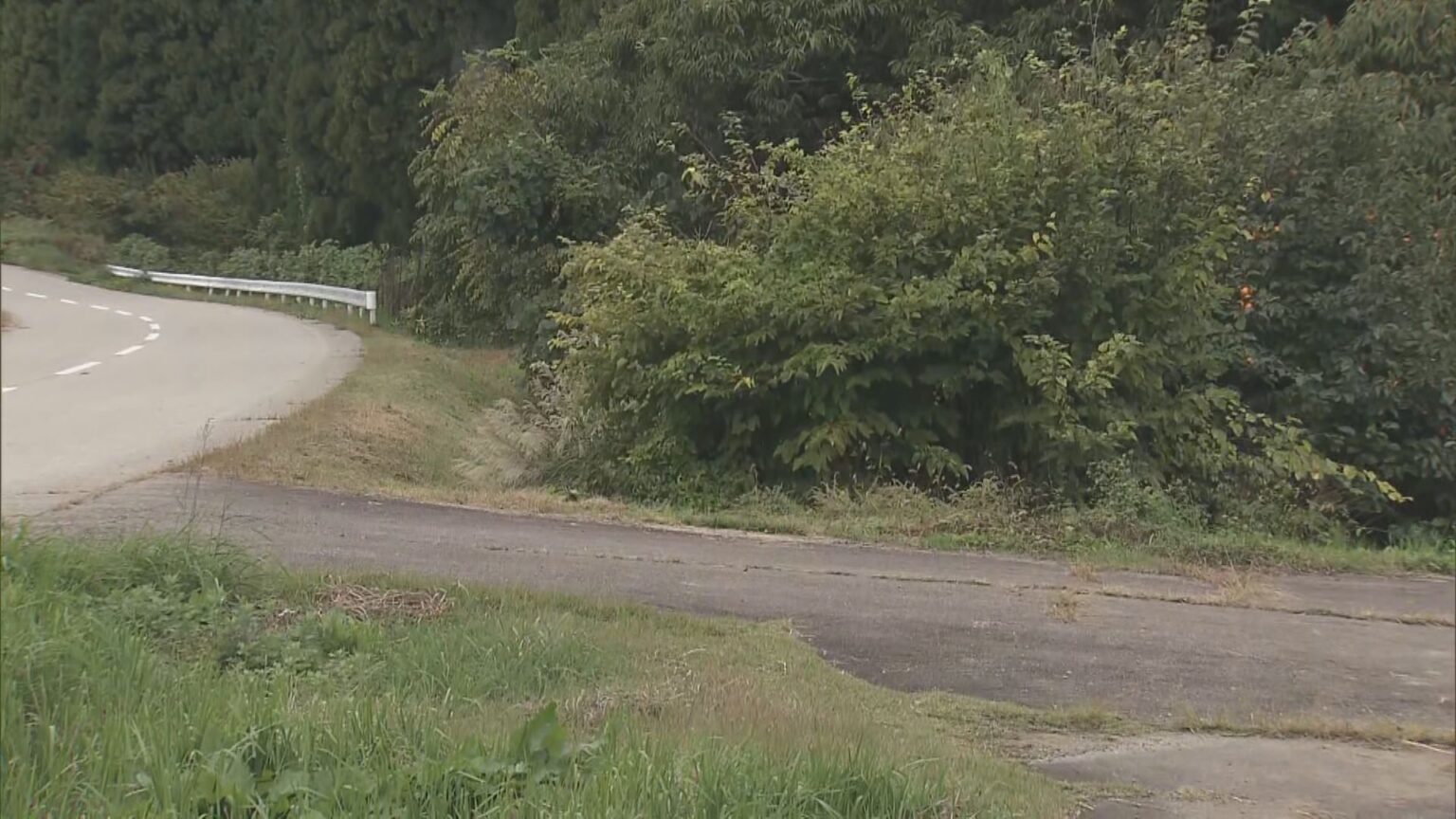 12日に栗拾い中の男性襲われケガ…岐阜県高山市で13日もクマの目撃情報 4月から9月末までに計254件（東海テレビ） - Yahoo!ニュース