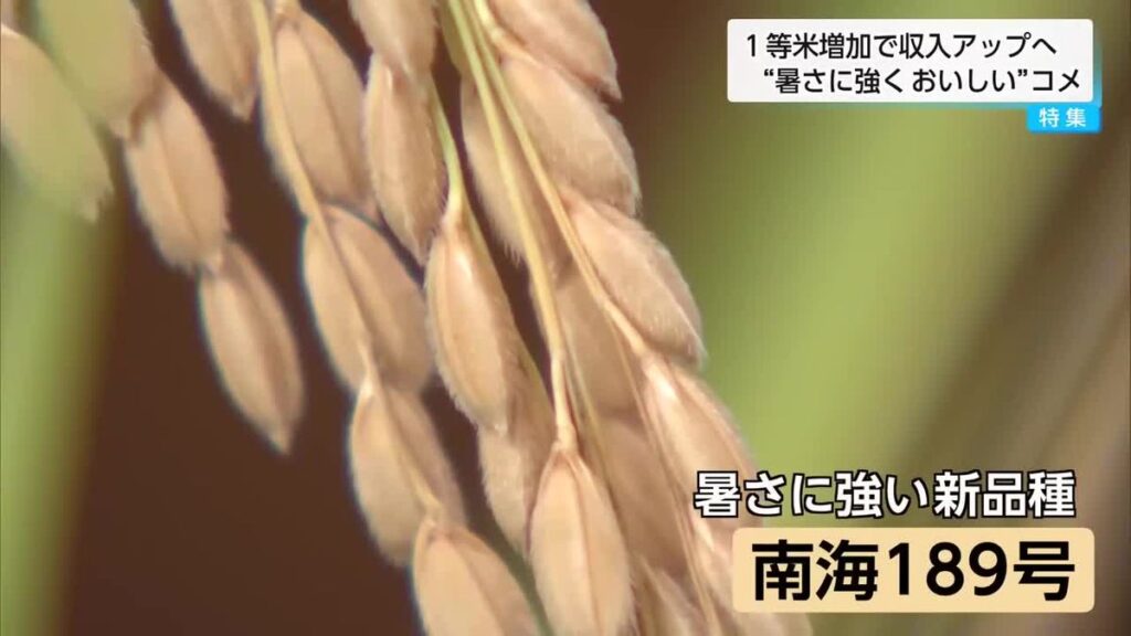 共有