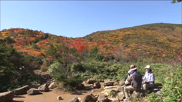 紅葉が山肌一面に ロープウェイで安達太良山へ ほんとうの空と色鮮やかな紅葉のコントラスト 福島（福島テレビ） - Yahoo!ニュース - Yahoo!ニュース