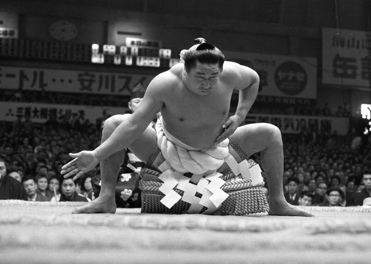 初代若乃花の土俵入り（1961年11月20日撮影）