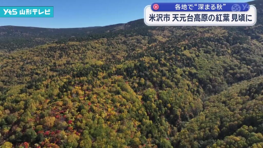 【山形】米沢市 天元台高原の紅葉 見頃に（YTS山形テレビ） - Yahoo!ニュース