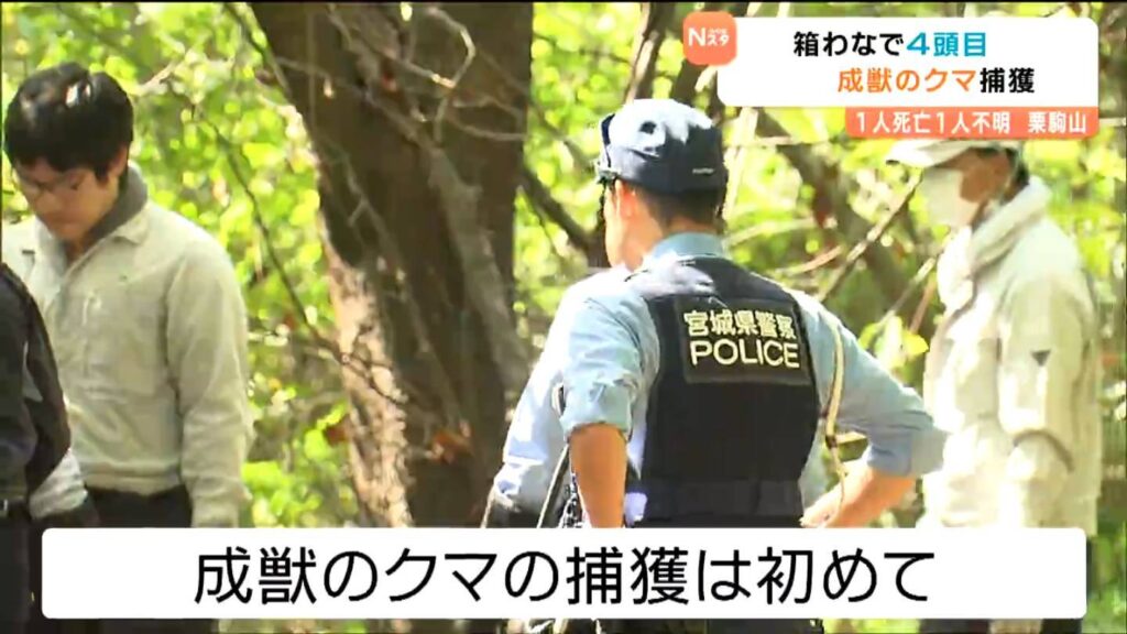 栗駒山で成獣のクマ1頭がワナにかかる クマ襲撃現場付近 宮城・栗原市（tbc東北放送） - Yahoo!ニュース