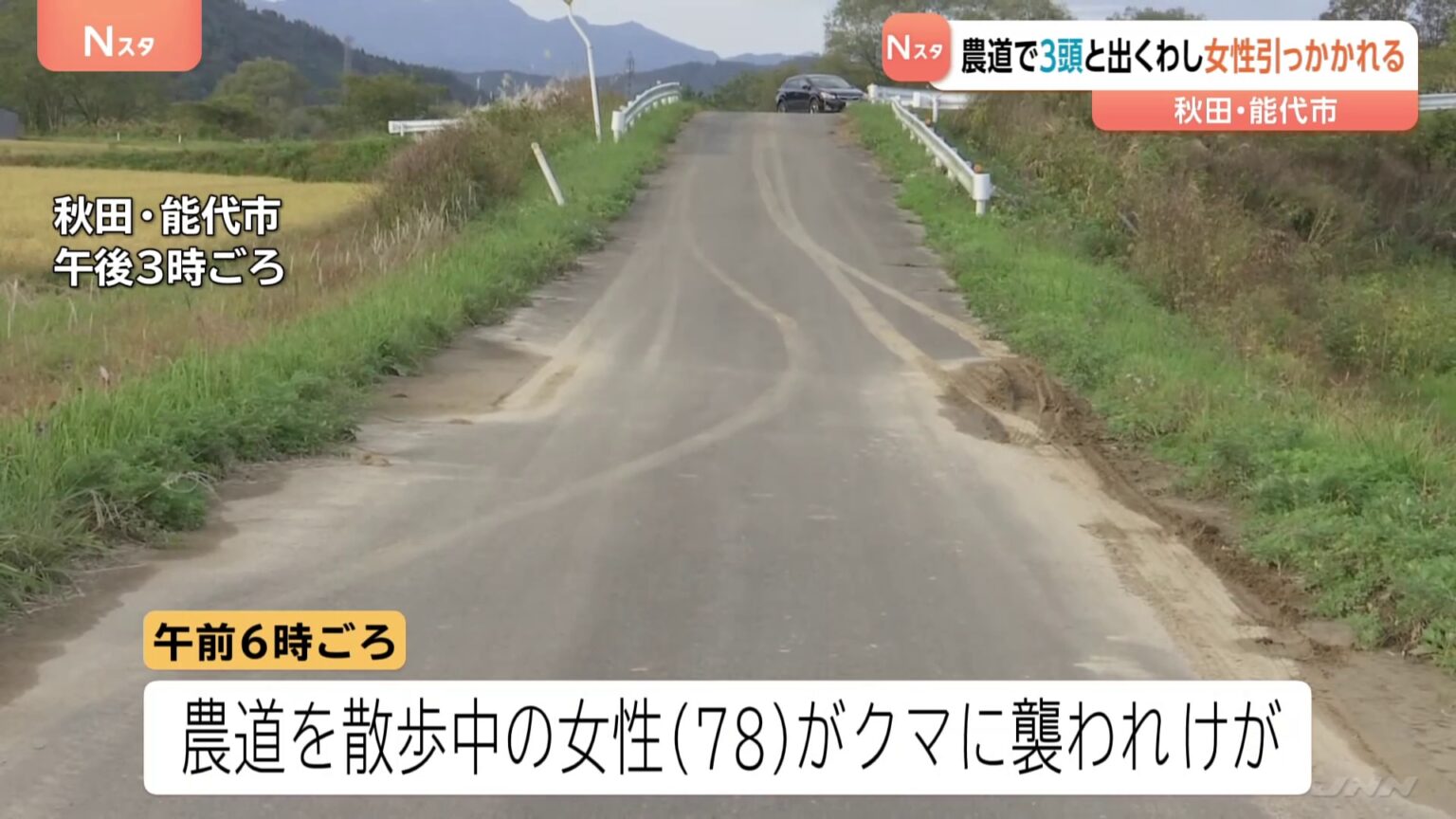 きょう（19日）も各地でクマ出没相次ぐ　秋田・能代市　農道で3頭と出くわし78歳女性背中引っかかれる　岩手・北上市　61歳男性　2頭と出くわす左足かまれ軽傷（TBS NEWS DIG Powered by JNN）