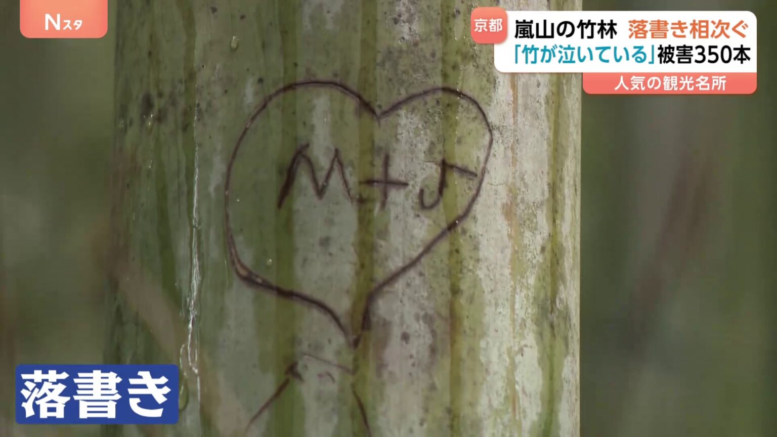 京都・嵐山の竹林で『落書き』増加　一体だれが！？　ハートにアルファベット　何かの記号　中にはカタカナや漢字のような文字も…（TBS NEWS DIG Powered by JNN）