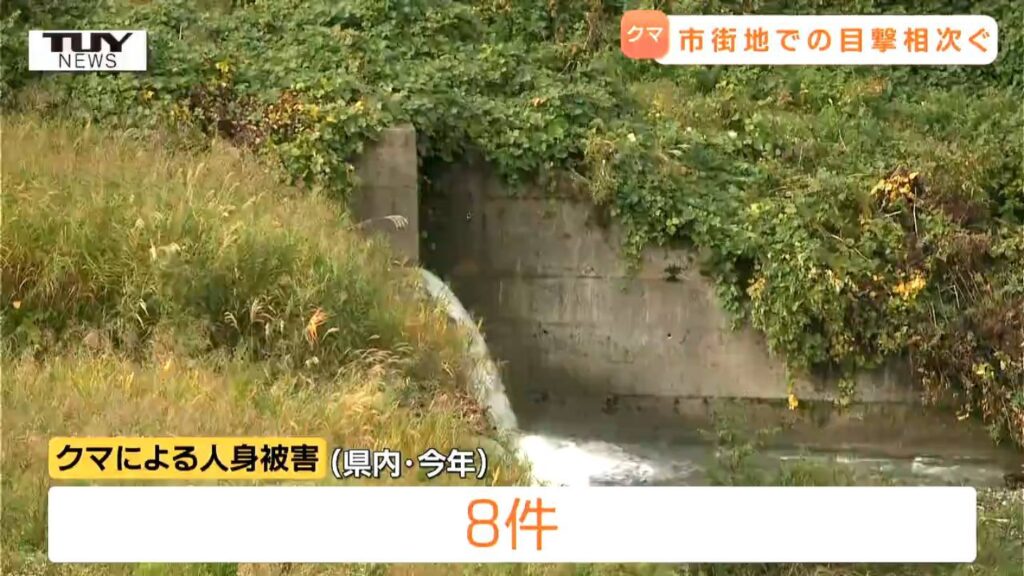 県内クマ目撃続く…鶴岡市熊出（くまいで）でもクマ 山形空港そばにもクマ きのうは人が襲われる事案も（山形）（テレビユー山形） - Yahoo!ニュース - Yahoo!ニュース