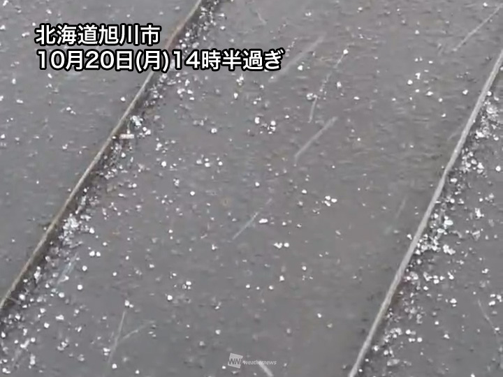 ウェザーニュース