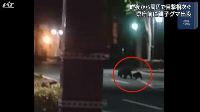 盛岡さんさ踊りの主会場でもある中心部の官庁街を2頭のクマが横切る【岩手】（IAT岩手朝日テレビ） - Yahoo!ニュース - Yahoo!ニュース