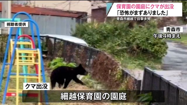 「恐怖がまず先に…」保育園の園庭にクマが出没 周辺で連日目撃も 青森県青森市（青森放送） - Yahoo!ニュース - Yahoo!ニュース