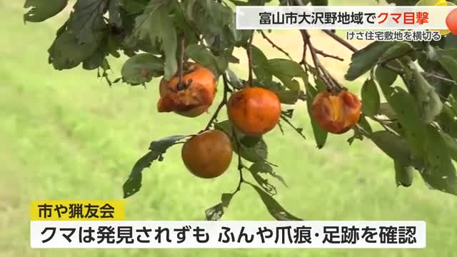 「まさかここに来るとは」富山市でクマが住宅敷地に侵入、出没多発の2年前より市街地に目撃エリア拡大（富山テレビ） - Yahoo!ニュース - Yahoo!ニュース