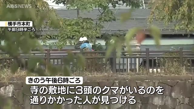 県内各地でクマが出没 横手市では一時居座り…近くの小学校が臨時休校 仙北市角館町の市街地でも 湯沢市の民家に侵入したクマは丸2日以上経った今も… 秋田（ABS秋田放送） - Yahoo!ニュース - Yahoo!ニュース