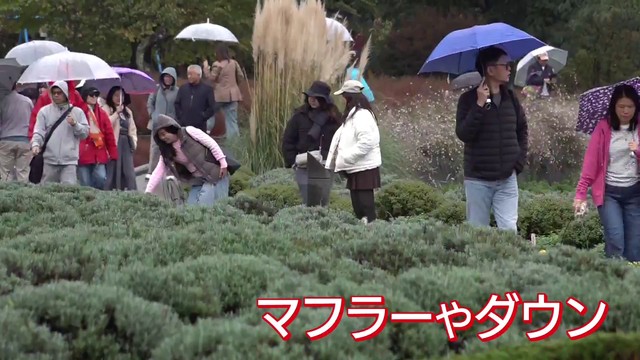 早くも“マフラーの出番” 河口湖で7.1℃ 県内各地で冷え込み 観測全10地点で今季最低を記録 山梨（YBS山梨放送）
