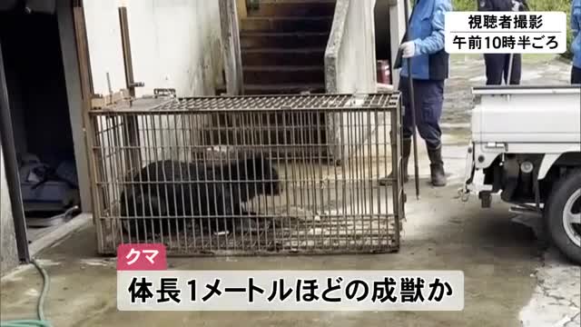 北秋田市の住宅にクマ1頭が入り込む 一時とどまるも約3時間後に捕獲 秋田（秋田テレビ） - Yahoo!ニュース - Yahoo!ニュース