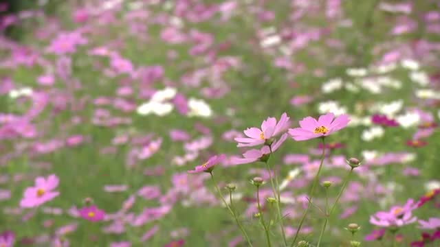 富山県内はヒンヤリした一日に、朝から雲が広がる 予想最高気温は富山市・高岡市伏木とも11月上旬並み（富山テレビ） - Yahoo!ニュース - Yahoo!ニュース