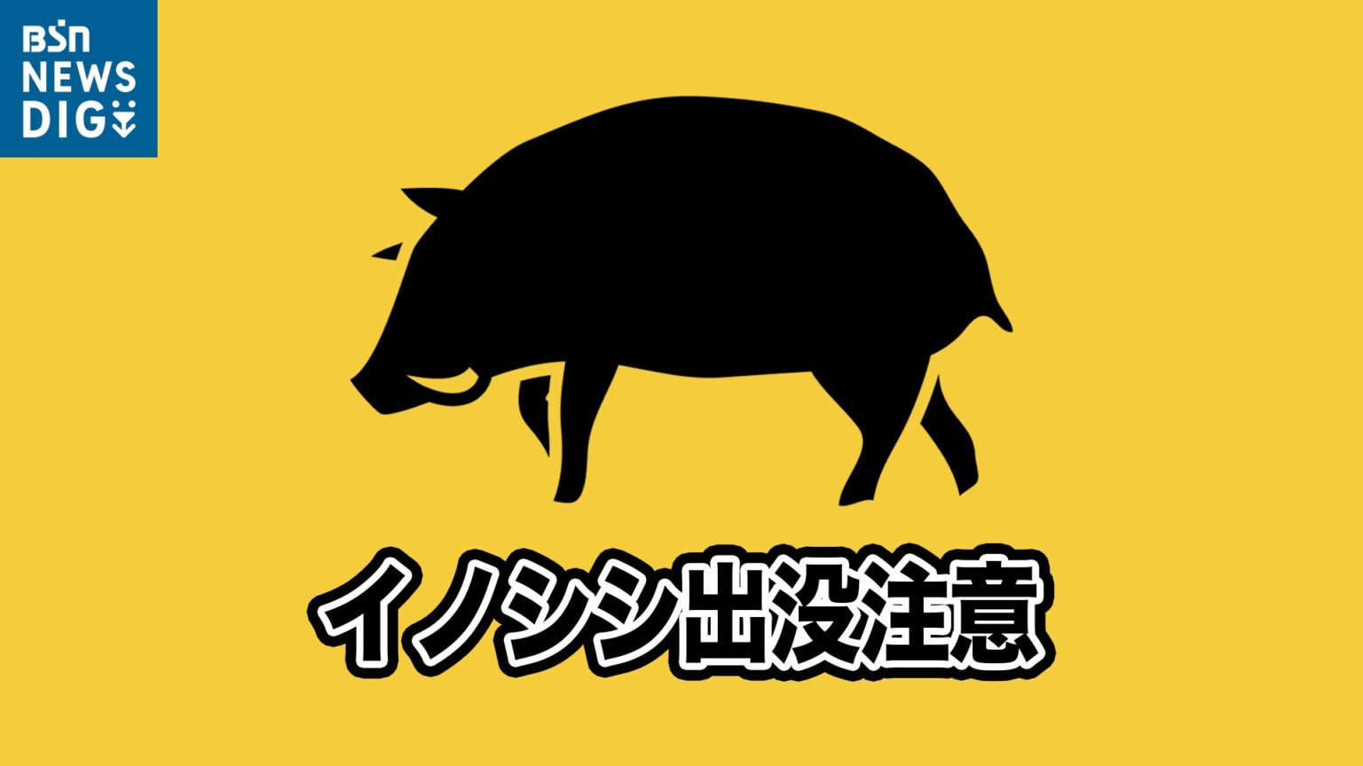 新潟市中央区鳥屋野3丁目や大島でイノシシの目撃情報 警察が注意呼び掛け（ＢＳＮ新潟放送） - Yahoo!ニュース - Yahoo!ニュース