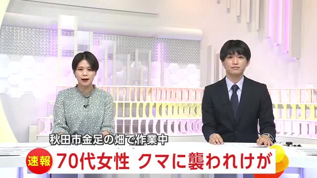【速報】秋田市でもクマの人身被害 70代女性、畑で作業中に襲われけが（秋田テレビ） - Yahoo!ニュース - Yahoo!ニュース