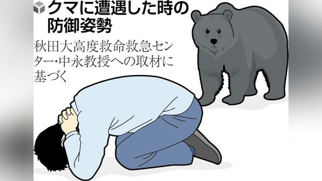 クマ人身被害、９割が顔面負傷…襲われたら専門家「首の後ろで手を組み体を丸め防御姿勢を」 - 読売新聞オンライン