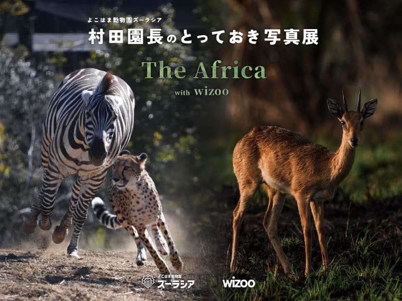 特別企画：村田園長のとっておき写真展 with wizoo ～The Africa～（デジカメ Watch）