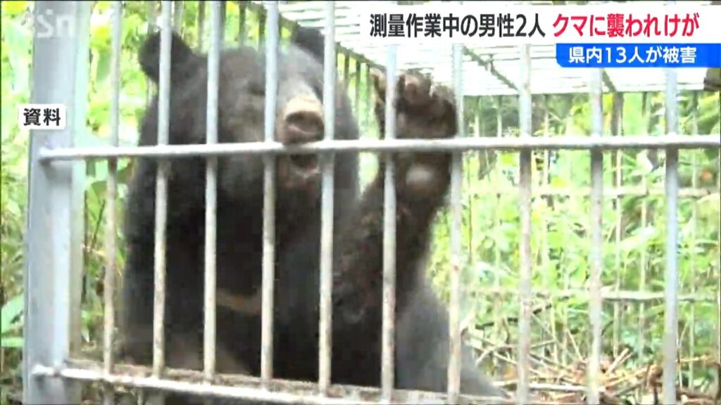 山林で測量作業中にクマ 襲われた男性2人けが 県内の人身被害は13人に　新潟県上越市（ＢＳＮ新潟放送） - Yahoo!ニュース