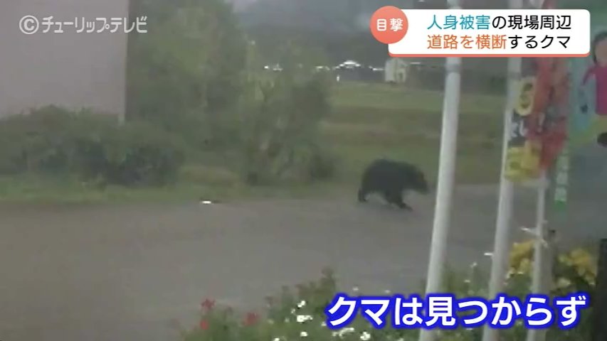 人身被害の現場周辺でドラレコが捉えた道路を横断するクマ 富山・南砺市（チューリップテレビ） - Yahoo!ニュース