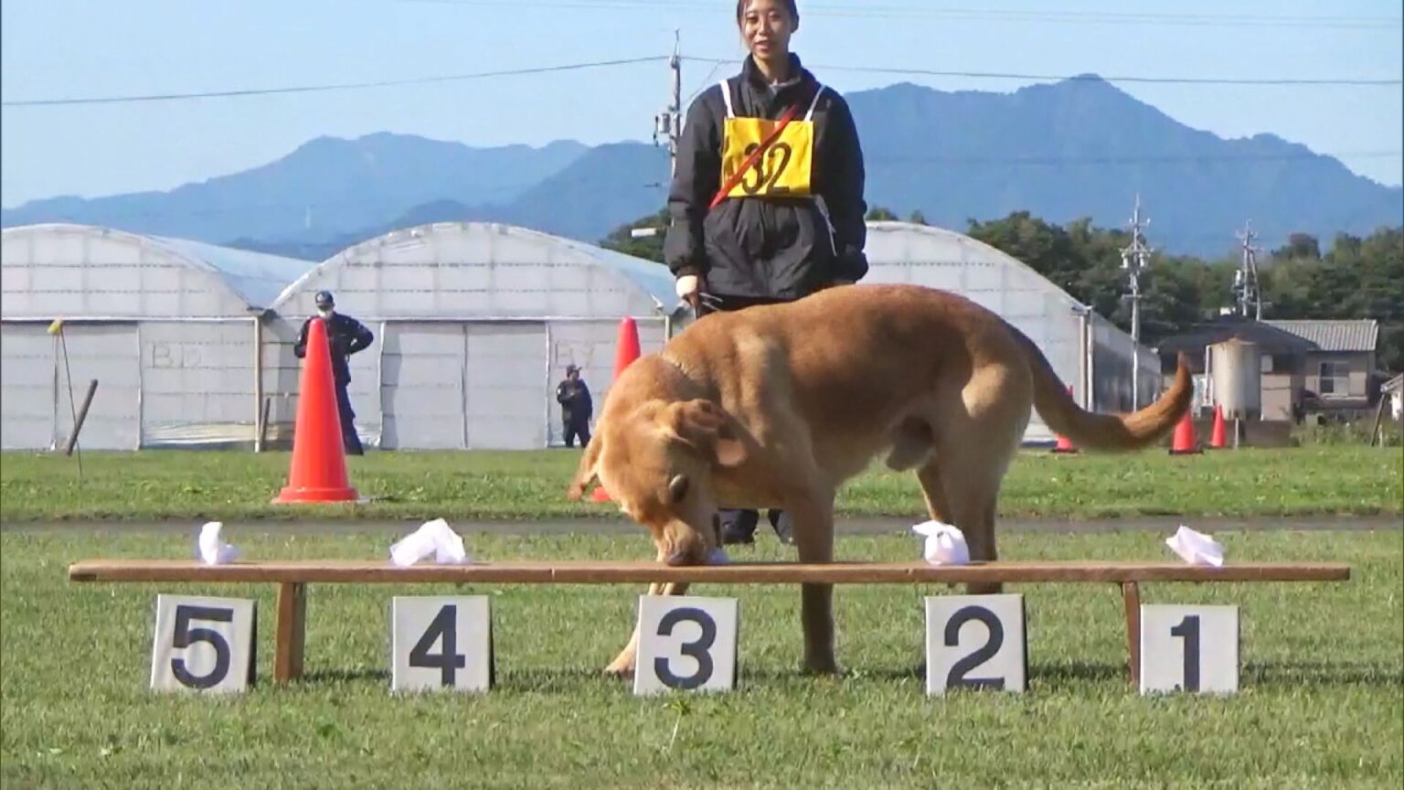 シェパードなど23頭が合格目指す…三重県警『嘱託警察犬』の審査会 嗅覚や指示通り行動できるか等がポイントに（東海テレビ） - Yahoo!ニュース