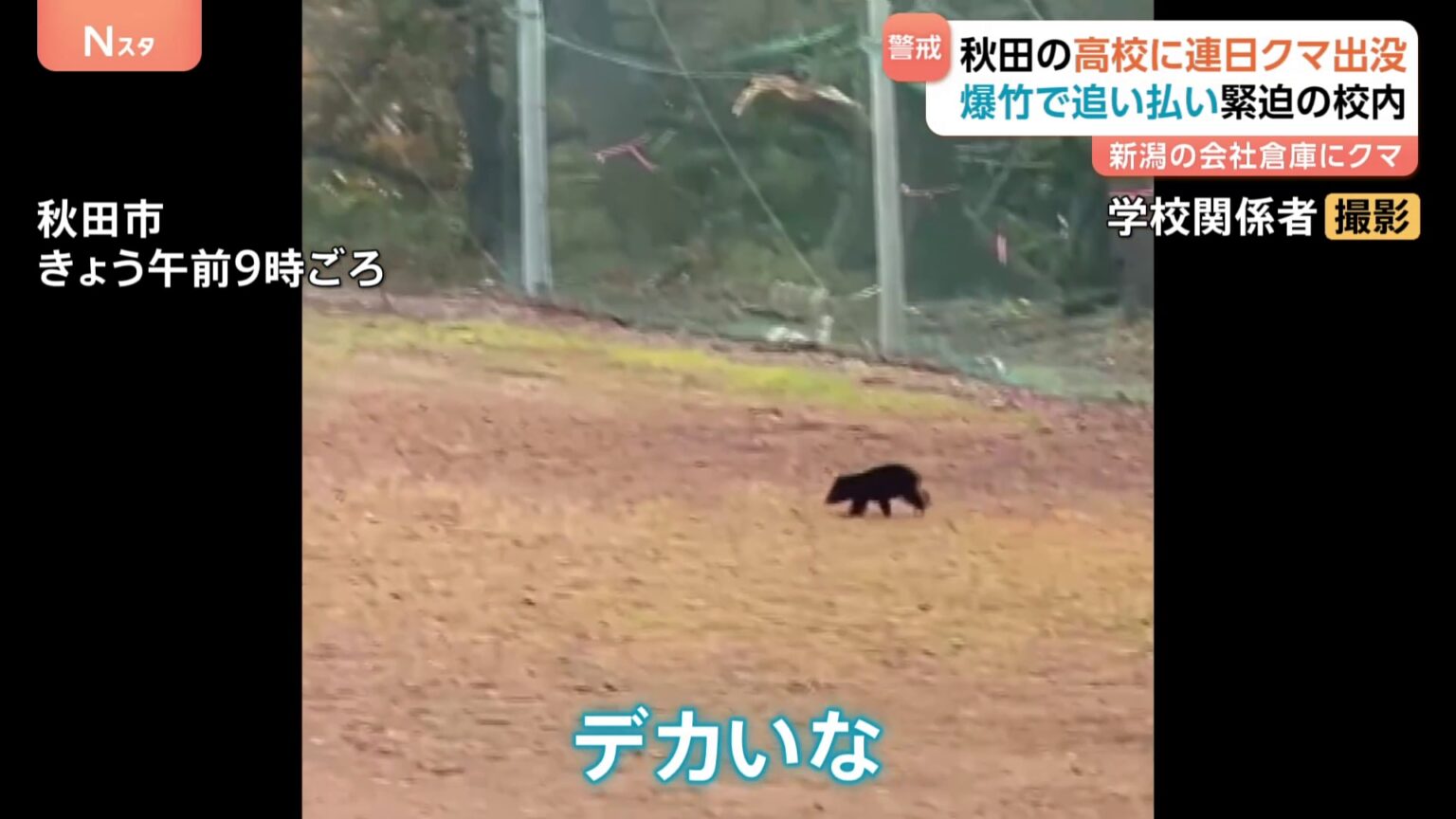 秋田2日連続クマが高校に出没 校内では爆竹で追い払いも（TBS NEWS DIG Powered by JNN）