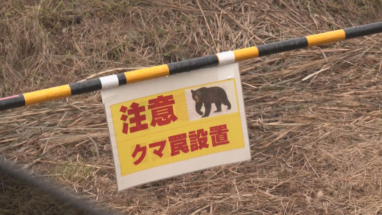 “クマ目撃”の教諭が証言「大型犬の1.5倍くらい」 小中学校は臨時休校に 捕獲には至らず 岐阜・高山市丹生川町で警戒つづく（CBCテレビ） - Yahoo!ニュース