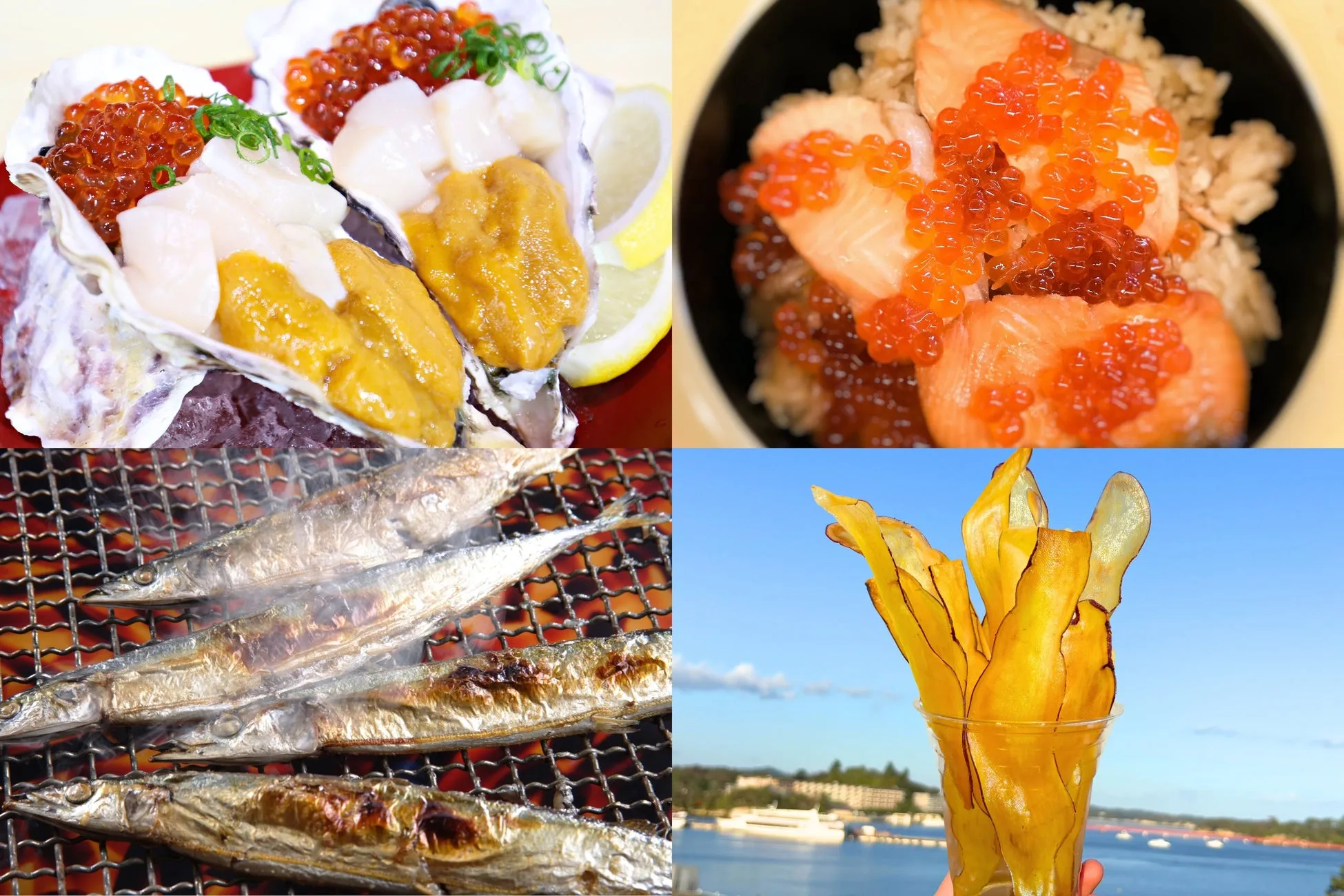 様々な日本の料理の写真です。カキ、ウニ、ホタテ、イクラ、鮭、焼き魚、そして揚げたスナックが入ったカップが含まれています。