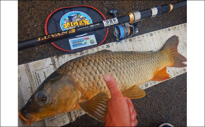 1泊2日で大型ハクレンを狙う【茨城・常陸利根川】メーター超え本命と嬉しい対面！