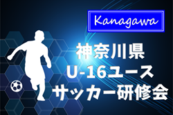 2025年度 第17回神奈川県U-16ユースサッカー研修会 予選リーグ 10/26結果判明分掲載！組合せ・日程・メンバー情報募集！ | Green Card ニュース
