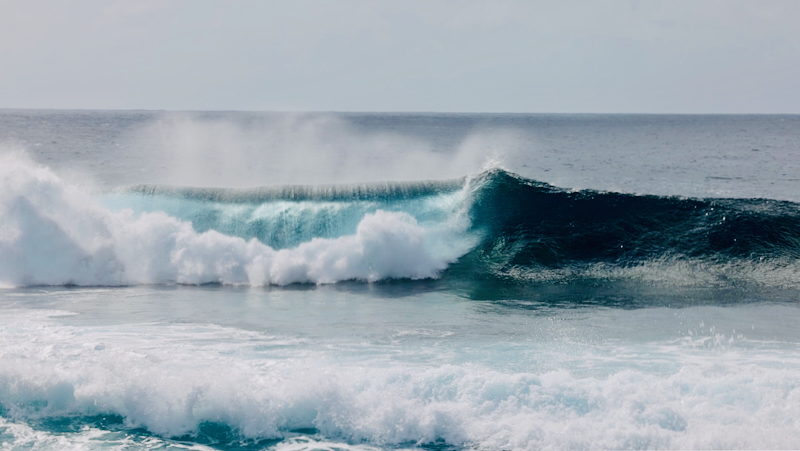 スクリーンショット 2025-10-12 17.20.58