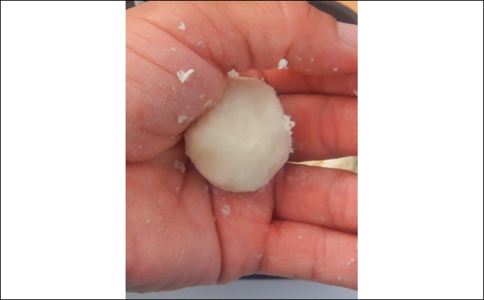 1泊2日で大型ハクレンを狙う【茨城・常陸利根川】メーター超え本命と嬉しい対面！