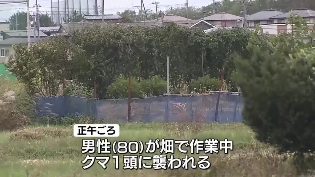 共有