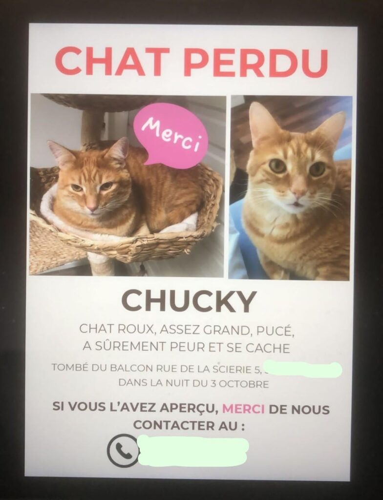 この猫を見たことがありますか？ウォリス・マルティニー