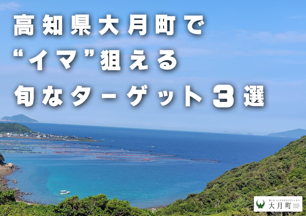 【大月町役場全面協力】高知県大月町で“イマ”狙える旬なターゲット３選 | 釣りの総合ニュースサイト「LureNewsR（ルアーニュース アール）」