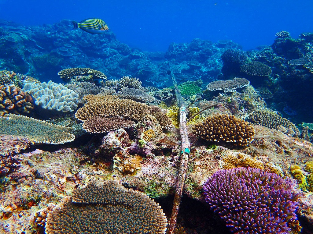 チリと中国を結ぶ海底ケーブル、ラテンアメリカのデジタル主権に懸念 | Data Center Café