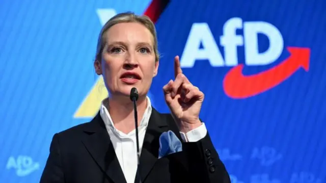 「ドイツのための選択肢（AfD）」のアリス・ヴァイデル共同党首