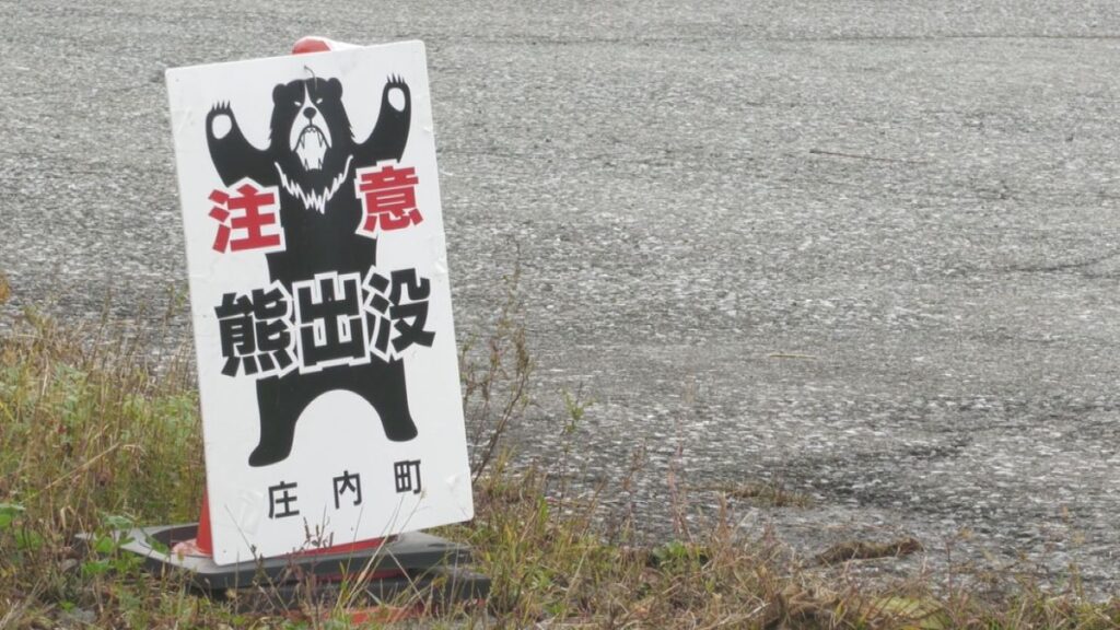 共有