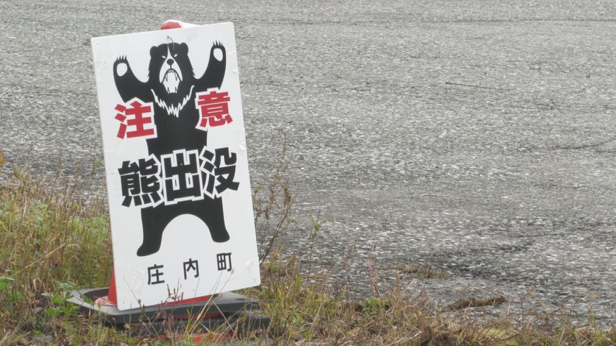 山形県内今年8人目の被害　キノコ採りの男性が襲われけが　西蔵王公園キャンプ場も利用停止