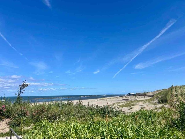 にいがた速報 人気記事 9月