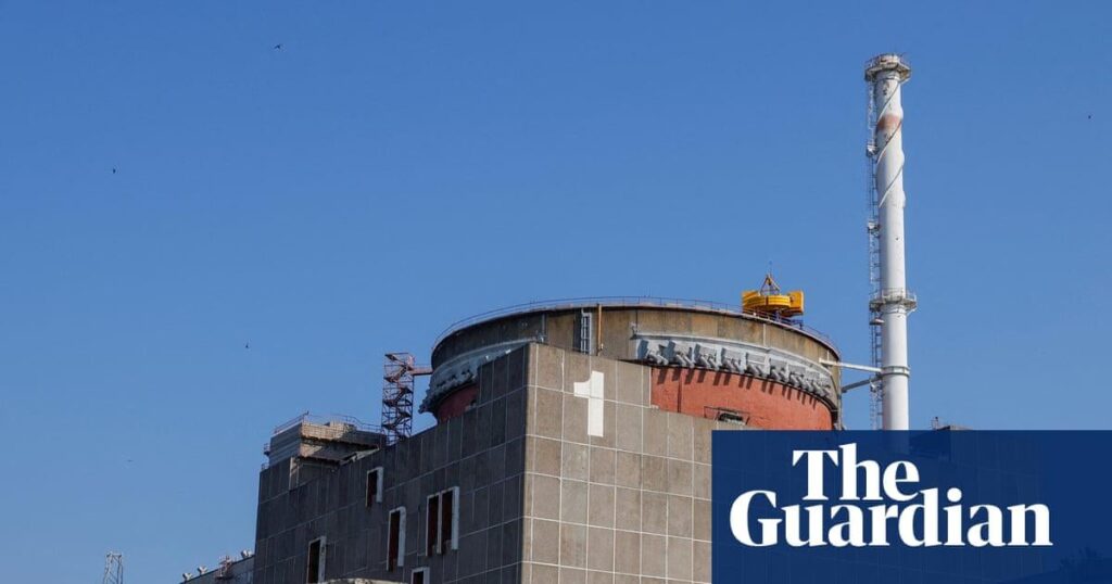 Zelenskyyは、Zaporizhzhiaの原子力発電所での前例のない停電についてアラームを鳴らします