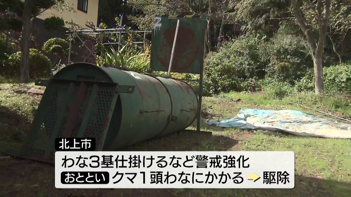 出没相次ぐ北上市　クマ1頭を駆除　花巻市と盛岡市では頭ひっかかれるなどの被害も　岩手県