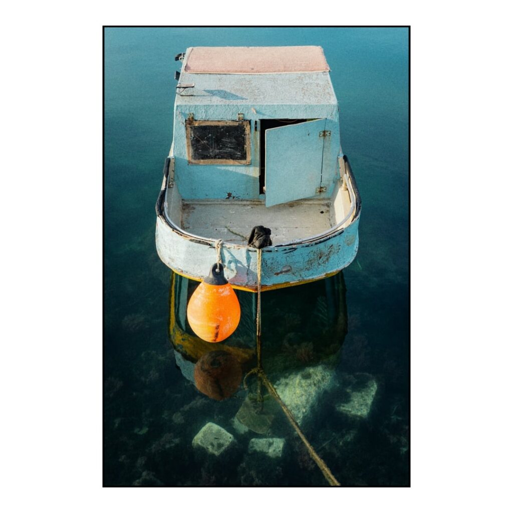 ファインダー越しのマルタ 📷