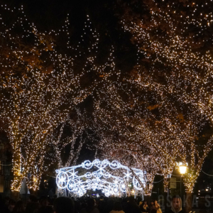 中之島イルミネーションストリート