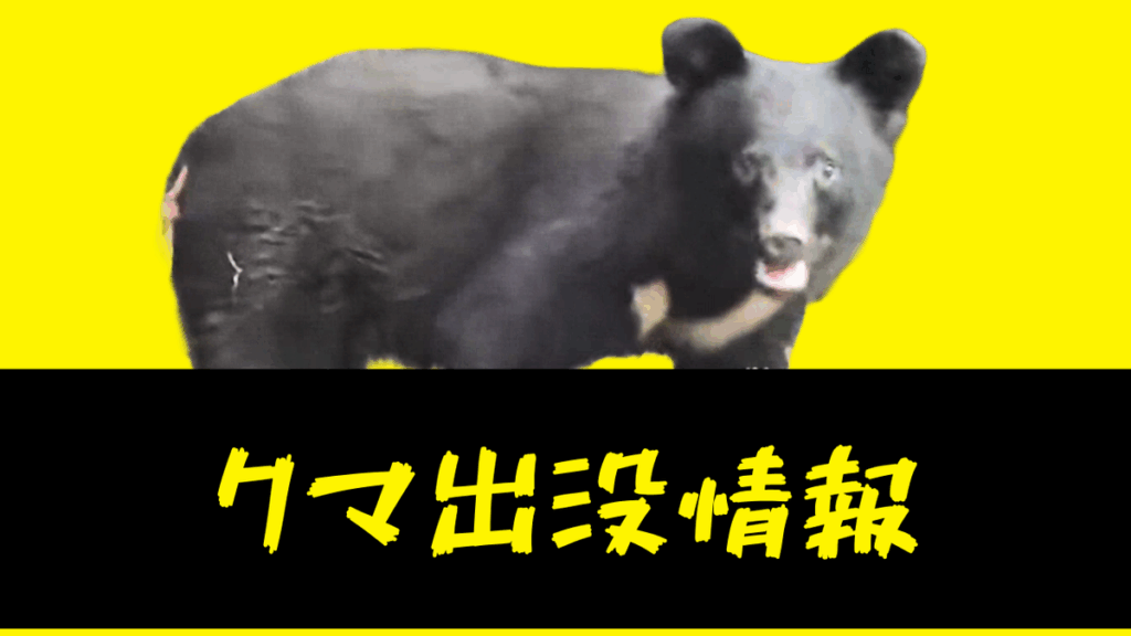共有